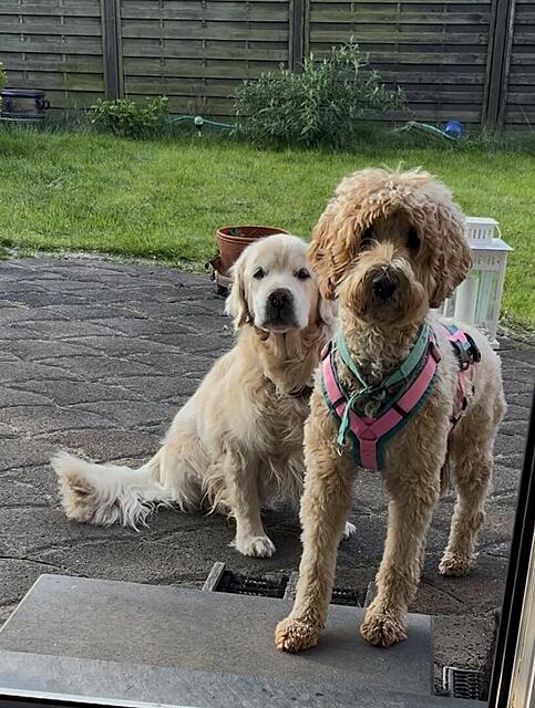 Klicke auf die Grafik für eine vergrößerte Ansicht  Name: IMG_2747.jpg Ansichten: 0 Größe: 143,2 KB ID: 1212820