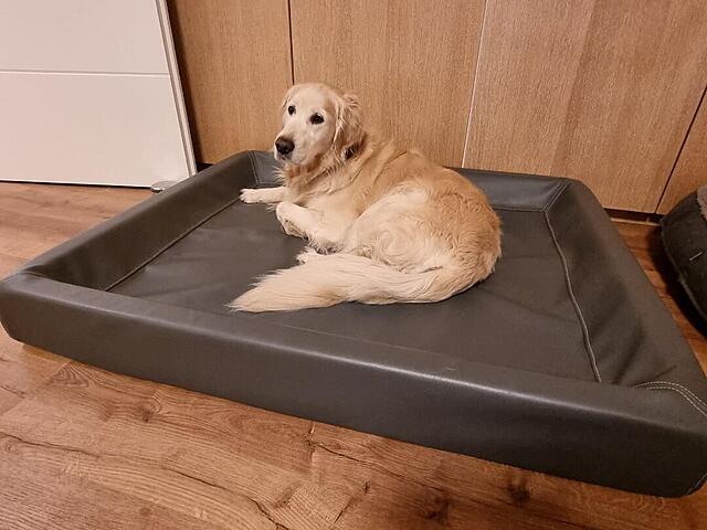 Klicke auf die Grafik für eine vergrößerte Ansicht  Name: 20260414_234105.jpg Ansichten: 0 Größe: 85,1 KB ID: 1212429