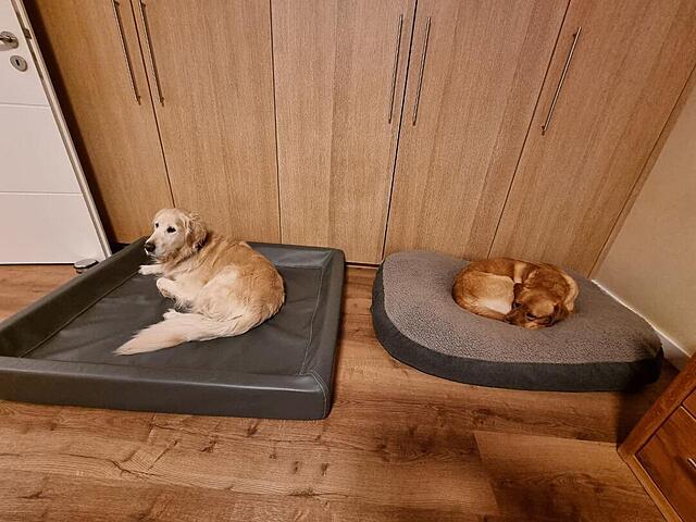 Klicke auf die Grafik für eine vergrößerte Ansicht  Name: 20260414_234120.jpg Ansichten: 0 Größe: 108,5 KB ID: 1212430