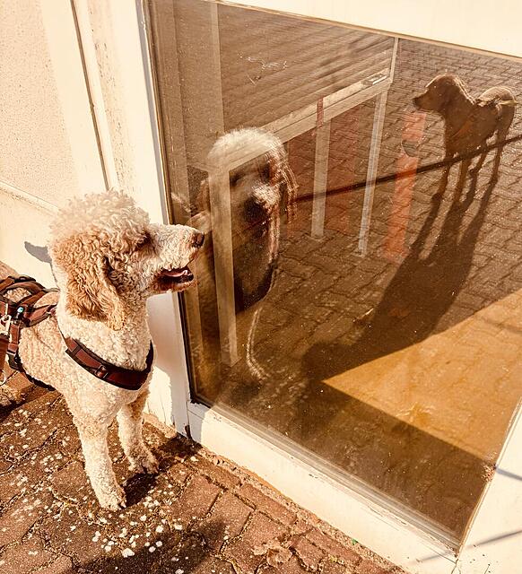 Klicke auf die Grafik für eine vergrößerte Ansicht  Name: IMG_0806.jpg Ansichten: 0 Größe: 192,6 KB ID: 1212560