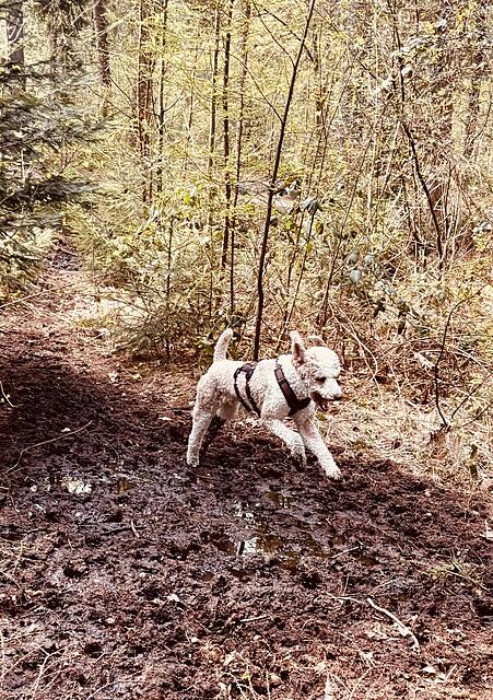 Klicke auf die Grafik für eine vergrößerte Ansicht  Name: IMG_0808.jpg Ansichten: 0 Größe: 308,2 KB ID: 1212561