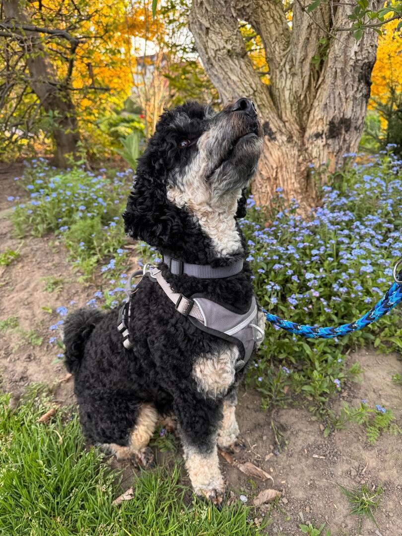 Klicke auf die Grafik für eine vergrößerte Ansicht  Name: WhatsApp Image 2026-04-17 at 16.38.10 (3).jpg Ansichten: 6 Größe: 210,9 KB ID: 1212620