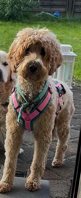 Klicke auf die Grafik für eine vergrößerte Ansicht

Name: image.png
Ansichten: 0
Größe: 305,7 KB
ID: 1212638