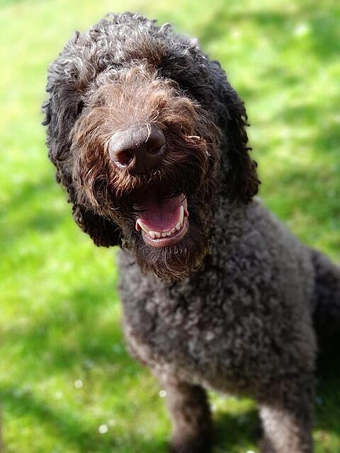 Klicke auf die Grafik für eine vergrößerte Ansicht

Name: 794c108f-0921-44de-aab1-16033bf8297f.jpg
Ansichten: 22
Größe: 88,2 KB
ID: 1212648