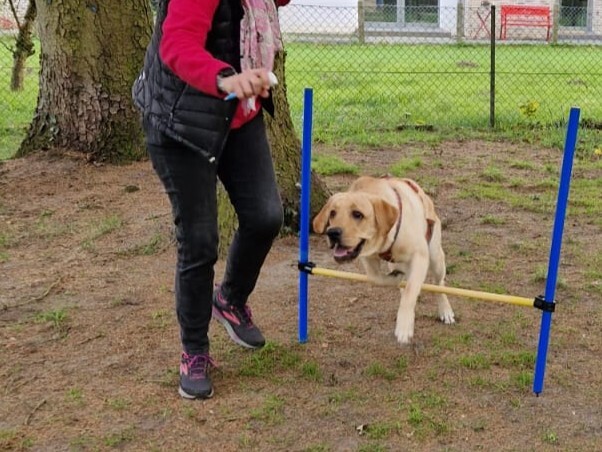 Klicke auf die Grafik für eine vergrößerte Ansicht  Name: WhatsApp Image 2026-04-15 at 18.35.50 (4).jpg Ansichten: 84 Größe: 93,8 KB ID: 1212714