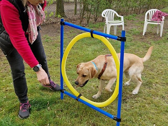 Klicke auf die Grafik für eine vergrößerte Ansicht  Name: WhatsApp Image 2026-04-15 at 18.28.53.jpg Ansichten: 83 Größe: 214,1 KB ID: 1212715