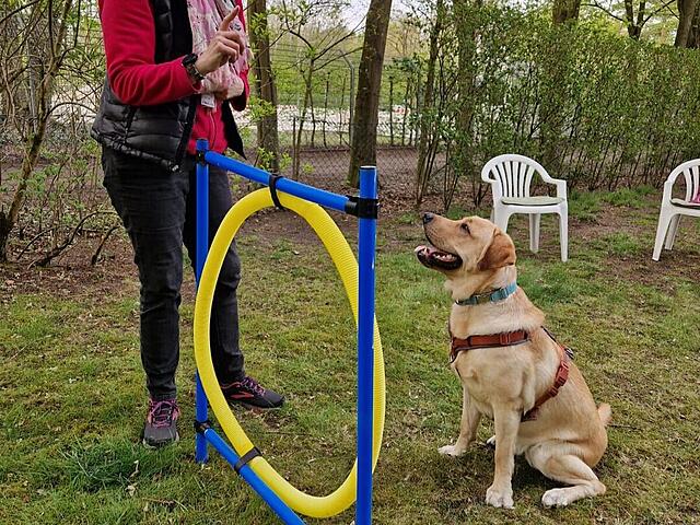 Klicke auf die Grafik für eine vergrößerte Ansicht  Name: WhatsApp Image 2026-04-15 at 18.35.49.jpg Ansichten: 82 Größe: 216,6 KB ID: 1212718