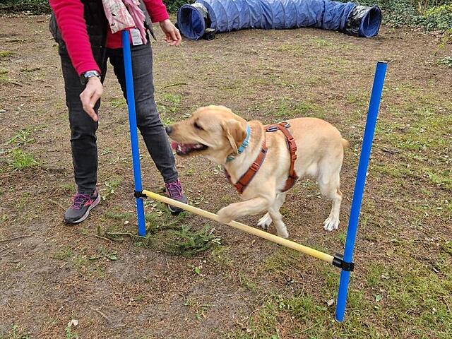 Klicke auf die Grafik für eine vergrößerte Ansicht  Name: WhatsApp Image 2026-04-15 at 18.35.50 (2).jpg Ansichten: 82 Größe: 221,0 KB ID: 1212719