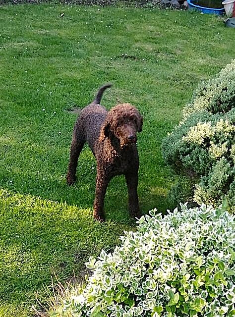 Klicke auf die Grafik für eine vergrößerte Ansicht

Name: Frodo2.jpg
Ansichten: 87
Größe: 235,7 KB
ID: 1212810