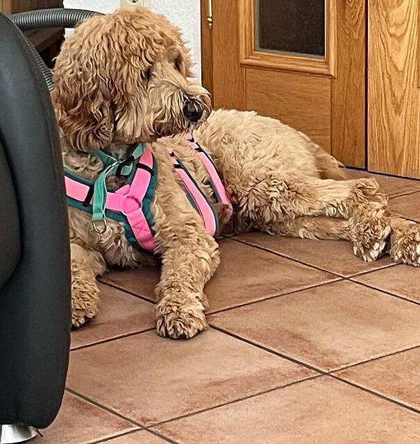 Klicke auf die Grafik für eine vergrößerte Ansicht  Name: c5c8c046-0d50-4274-a715-5fd7e628430e.jpg Ansichten: 0 Größe: 149,8 KB ID: 1212824