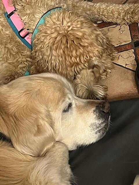 Klicke auf die Grafik für eine vergrößerte Ansicht  Name: 0bcc320a-73a5-4ba7-b916-b00999e0f170.jpg Ansichten: 0 Größe: 117,4 KB ID: 1212825