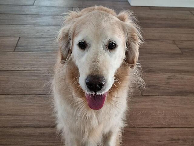 Klicke auf die Grafik für eine vergrößerte Ansicht

Name: 20260422_075337.jpg
Ansichten: 28
Größe: 74,9 KB
ID: 1213145