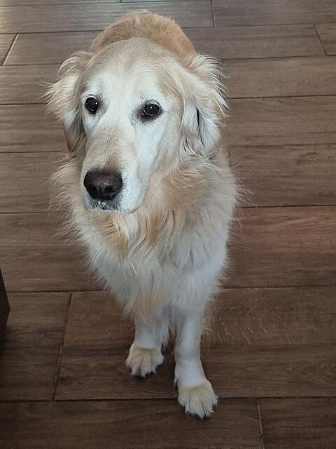 Klicke auf die Grafik für eine vergrößerte Ansicht

Name: 20260422_074313.jpg
Ansichten: 28
Größe: 84,9 KB
ID: 1213146