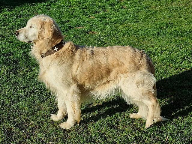 Klicke auf die Grafik für eine vergrößerte Ansicht

Name: 20260422_075031.jpg
Ansichten: 28
Größe: 266,3 KB
ID: 1213147