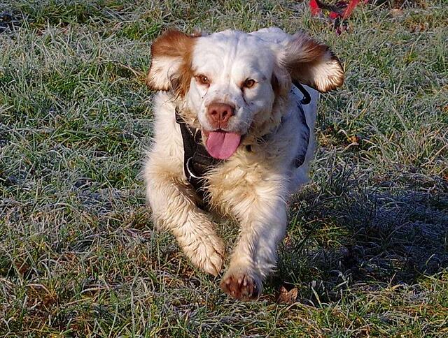 Klicke auf die Grafik für eine vergrößerte Ansicht

Name: PHOTO-2026-02-27-19-53-29 10.jpg
Ansichten: 8
Größe: 211,9 KB
ID: 1213172