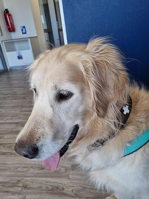 Klicke auf die Grafik für eine vergrößerte Ansicht

Name: 20260422_141336.jpg
Ansichten: 9
Größe: 106,1 KB
ID: 1213195