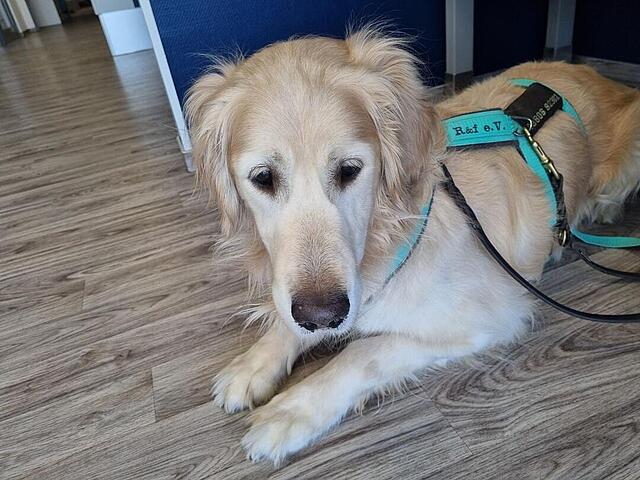 Klicke auf die Grafik für eine vergrößerte Ansicht

Name: 20260422_142322.jpg
Ansichten: 9
Größe: 121,1 KB
ID: 1213196