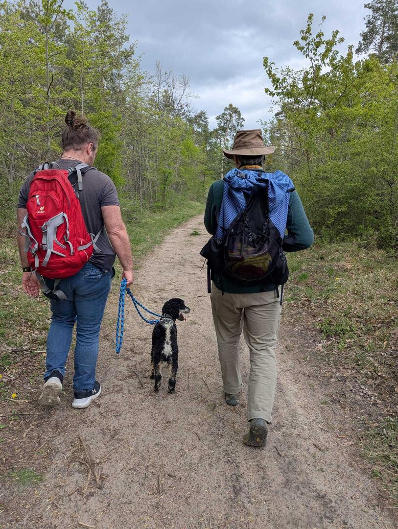 Klicke auf die Grafik für eine vergrößerte Ansicht  Name: WhatsApp Image 2026-04-23 at 23.37.38.jpg Ansichten: 0 Größe: 237,4 KB ID: 1213319