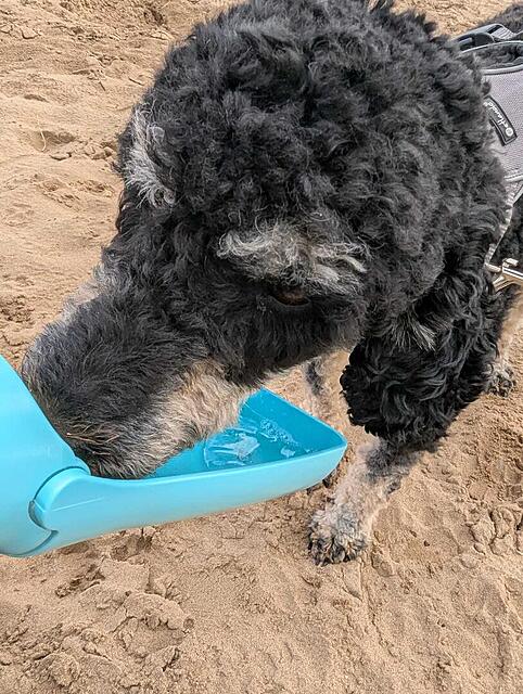 Klicke auf die Grafik für eine vergrößerte Ansicht  Name: WhatsApp Image 2026-04-23 at 23.37.37 (1).jpg Ansichten: 0 Größe: 187,6 KB ID: 1213323