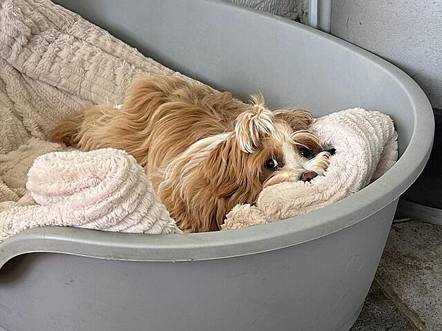 Klicke auf die Grafik für eine vergrößerte Ansicht

Name: IMG_3821.jpg
Ansichten: 44
Größe: 117,8 KB
ID: 1213909