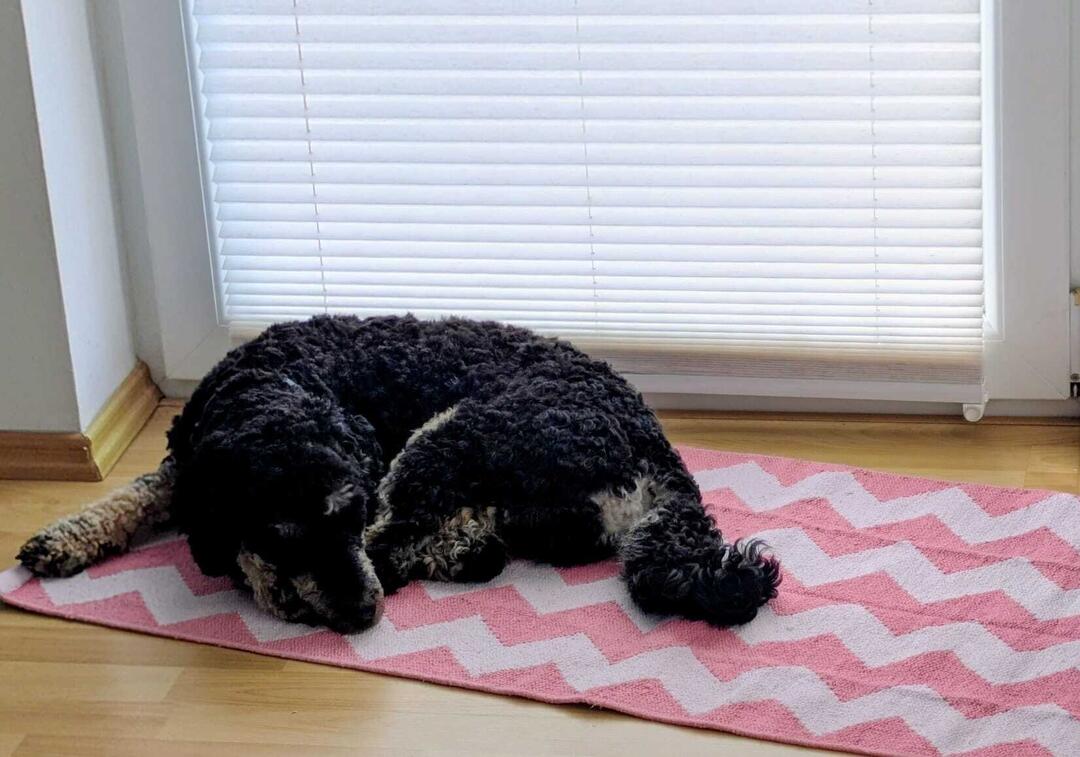 Klicke auf die Grafik für eine vergrößerte Ansicht  Name: WhatsApp Image 2026-04-24 at 15.08.30 (4).jpg Ansichten: 0 Größe: 99,8 KB ID: 1213370