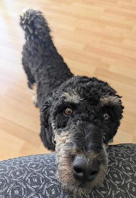 Klicke auf die Grafik für eine vergrößerte Ansicht  Name: WhatsApp Image 2026-04-24 at 15.08.30.jpg Ansichten: 0 Größe: 100,4 KB ID: 1213371