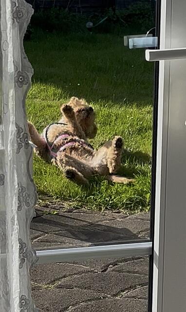 Klicke auf die Grafik für eine vergrößerte Ansicht  Name: IMG_2801.jpg Ansichten: 0 Größe: 153,5 KB ID: 1213415