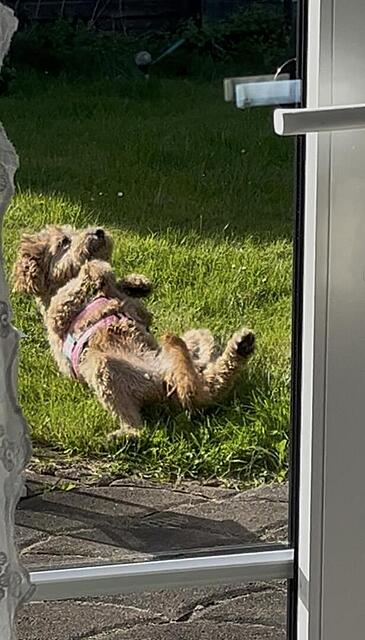 Klicke auf die Grafik für eine vergrößerte Ansicht  Name: IMG_2802.jpg Ansichten: 0 Größe: 93,1 KB ID: 1213416