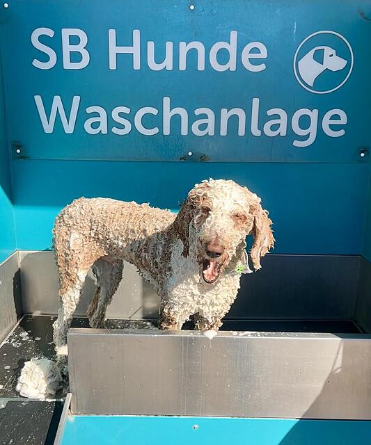 Klicke auf die Grafik für eine vergrößerte Ansicht  Name: IMG_0915.jpg Ansichten: 3 Größe: 102,5 KB ID: 1213457