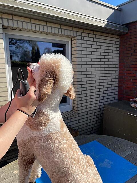 Klicke auf die Grafik für eine vergrößerte Ansicht  Name: fdaf90f3-b82f-4204-8892-9b22172d1fa0.jpg Ansichten: 0 Größe: 119,5 KB ID: 1213458