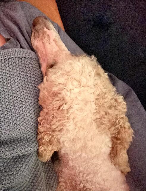 Klicke auf die Grafik für eine vergrößerte Ansicht  Name: IMG_0932.jpg Ansichten: 0 Größe: 147,8 KB ID: 1213459