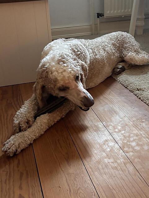 Klicke auf die Grafik für eine vergrößerte Ansicht  Name: IMG_0949.jpg Ansichten: 0 Größe: 98,1 KB ID: 1213460