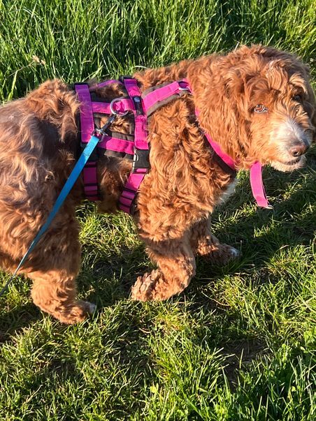 Klicke auf die Grafik für eine vergrößerte Ansicht  Name: Hattie18.jpg Ansichten: 72 Größe: 113,6 KB ID: 1213637