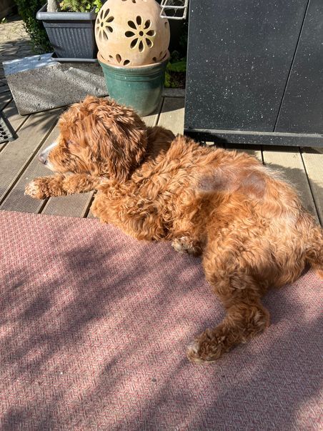 Klicke auf die Grafik für eine vergrößerte Ansicht  Name: Hattie16.jpg Ansichten: 75 Größe: 83,7 KB ID: 1213639