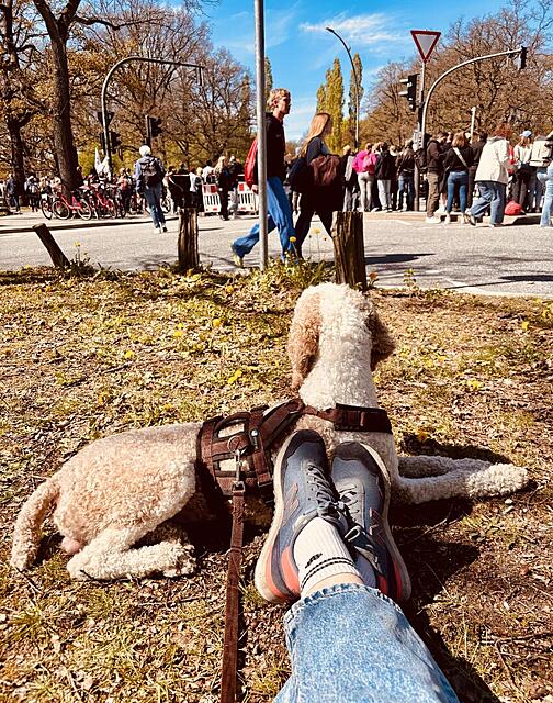 Klicke auf die Grafik für eine vergrößerte Ansicht  Name: IMG_0975.jpg Ansichten: 0 Größe: 292,7 KB ID: 1213670