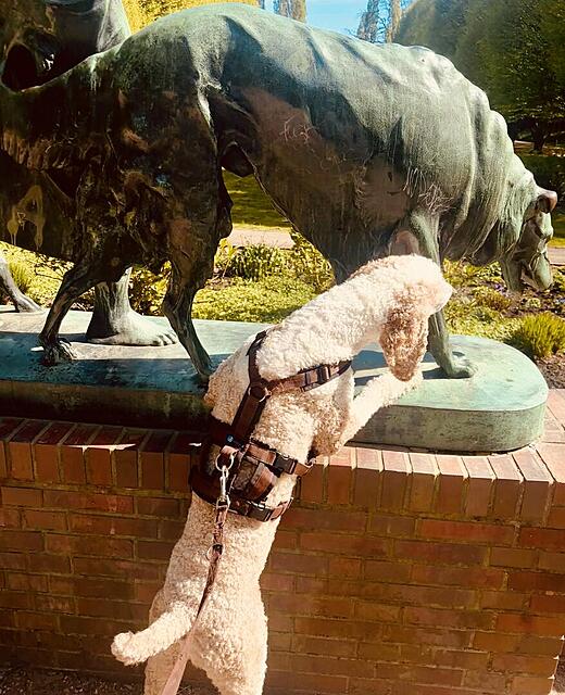 Klicke auf die Grafik für eine vergrößerte Ansicht  Name: IMG_0980.jpg Ansichten: 0 Größe: 157,8 KB ID: 1213671