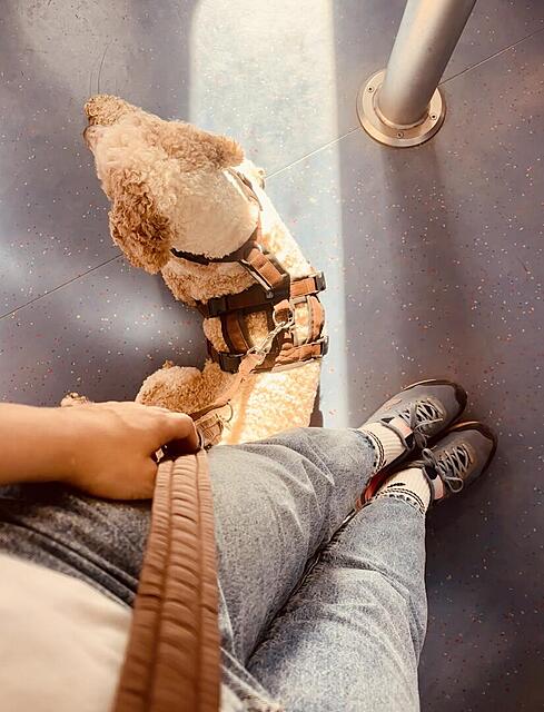 Klicke auf die Grafik für eine vergrößerte Ansicht  Name: IMG_0982.jpg Ansichten: 0 Größe: 105,3 KB ID: 1213672