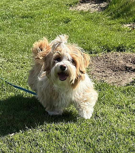 Klicke auf die Grafik für eine vergrößerte Ansicht

Name: IMG_3863.jpg
Ansichten: 43
Größe: 267,8 KB
ID: 1213910