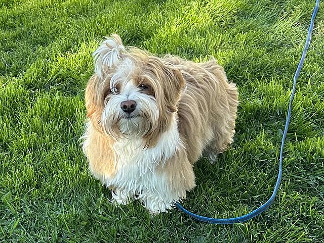 Klicke auf die Grafik für eine vergrößerte Ansicht

Name: IMG_3895.jpg
Ansichten: 43
Größe: 239,3 KB
ID: 1213911