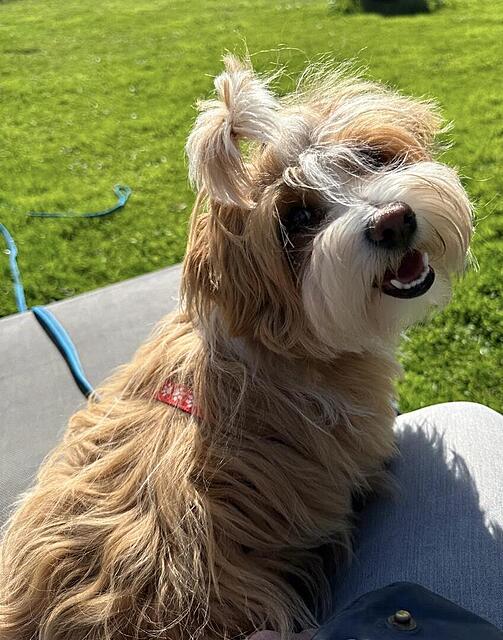 Klicke auf die Grafik für eine vergrößerte Ansicht

Name: 68ed1419-bb10-4840-a9dc-28f51f1a6314.jpg
Ansichten: 44
Größe: 144,3 KB
ID: 1213731