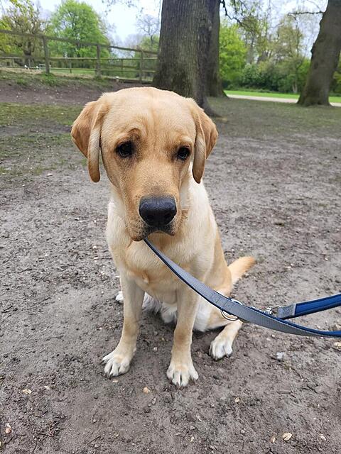 Klicke auf die Grafik für eine vergrößerte Ansicht

Name: WhatsApp Image 2026-04-28 at 07.36.40.jpg
Ansichten: 49
Größe: 152,9 KB
ID: 1213819