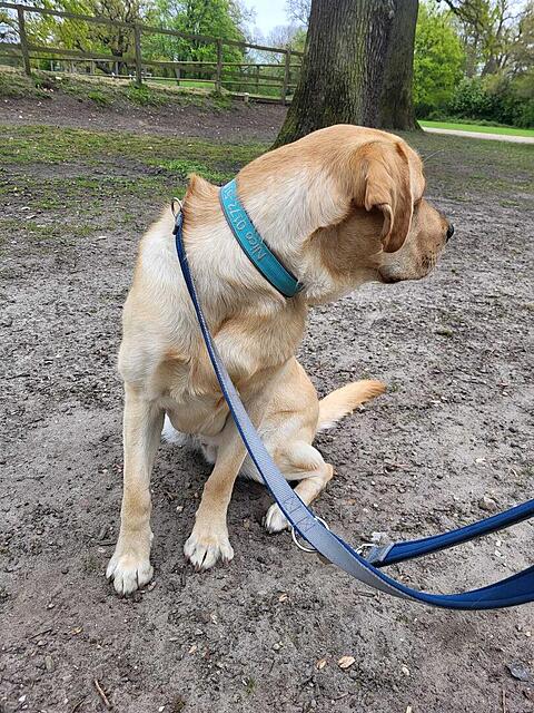 Klicke auf die Grafik für eine vergrößerte Ansicht

Name: WhatsApp Image 2026-04-28 at 07.36.41 (1).jpg
Ansichten: 49
Größe: 236,0 KB
ID: 1213820