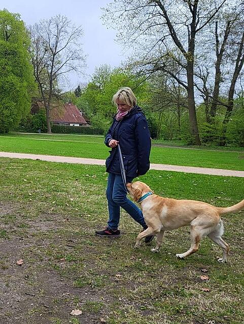 Klicke auf die Grafik für eine vergrößerte Ansicht

Name: _WhatsApp Image 2026-04-28 at 07.38.25.jpg
Ansichten: 49
Größe: 237,2 KB
ID: 1213821