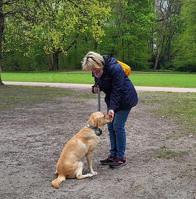 Klicke auf die Grafik für eine vergrößerte Ansicht

Name: WhatsApp Image 2026-04-28 at 07.38.25 (2).jpg
Ansichten: 49
Größe: 313,3 KB
ID: 1213822