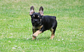 Klicke auf die Grafik für eine vergrößerte Ansicht

Name: image.png
Ansichten: 632
Größe: 1,09 MB
ID: 1060873