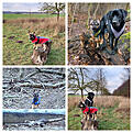 Klicke auf die Grafik für eine vergrößerte Ansicht

Name: 20221216_221036-COLLAGE.jpg
Ansichten: 1432
Größe: 227,1 KB
ID: 1062935