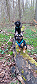 Klicke auf die Grafik für eine vergrößerte Ansicht

Name: 20230408_160818_04-09-2023.png
Ansichten: 1048
Größe: 1,29 MB
ID: 1075950