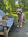 Klicke auf die Grafik für eine vergrößerte Ansicht

Name: IMG_8365-2.png
Ansichten: 627
Größe: 1,77 MB
ID: 1214175