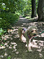 Klicke auf die Grafik für eine vergrößerte Ansicht

Name: IMG_9355.jpg
Ansichten: 96
Größe: 275,4 KB
ID: 1219977
