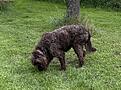 IMG_8075.jpg